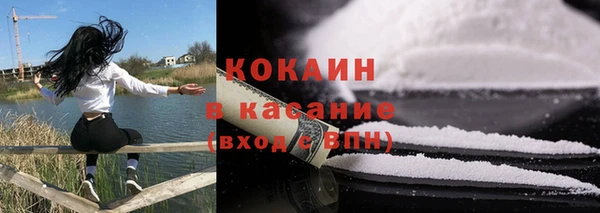 мдпв Ладушкин