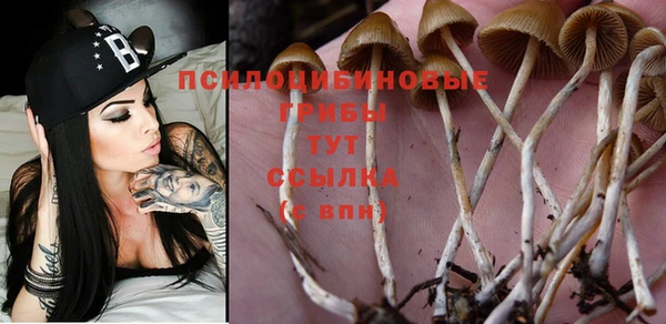 винт Абдулино
