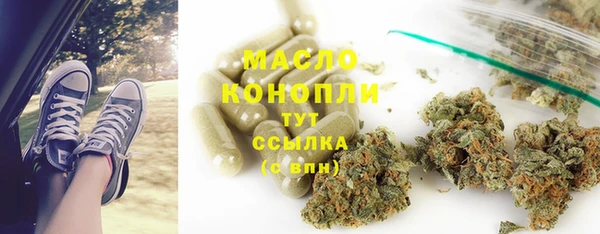 мдпв Ладушкин
